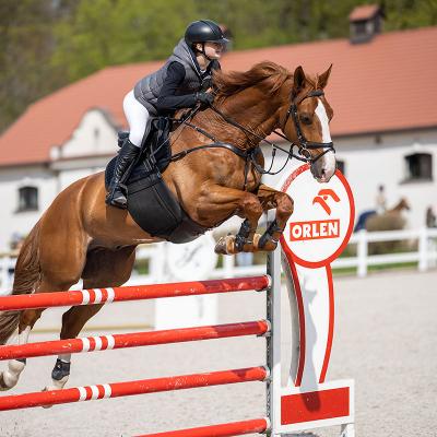 Plj 2021 I Etap Lack Vln5