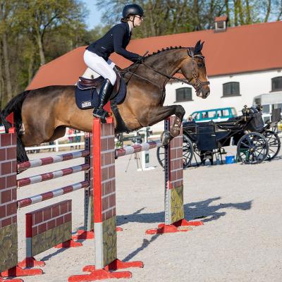 Plj 2021 I Etap Eliminacji K.rzeczycki 10.05. 0