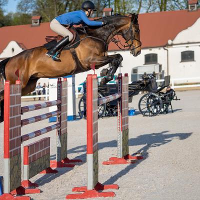 Plj 2021 I Etap Eliminacji K.rzeczycki 10.05. 14